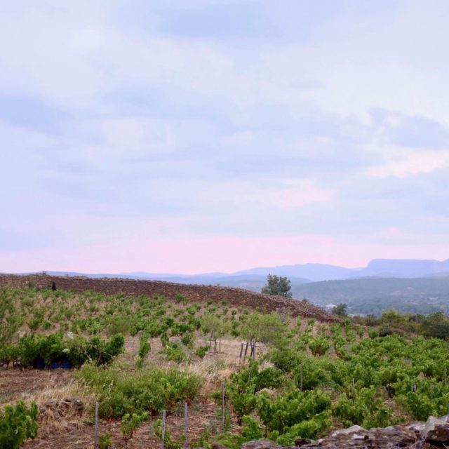 Domaine Rouge Gorge