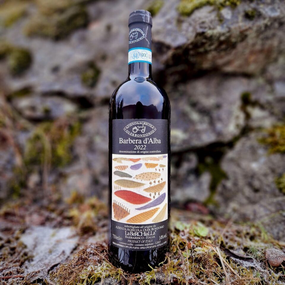 Barbera d'Alba 2024