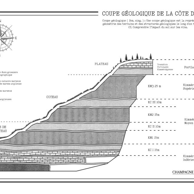 Champagne Clandestin