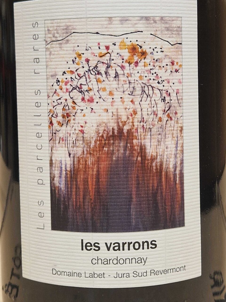 Chardonnay 'Les Varrons' 2021