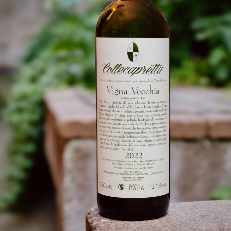Vigna Vecchia 2024